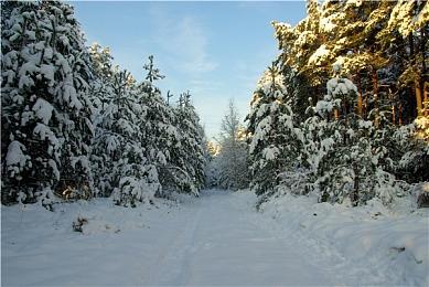 ​《WWE® 2K22》最热门卡包不负期待，今日发布 